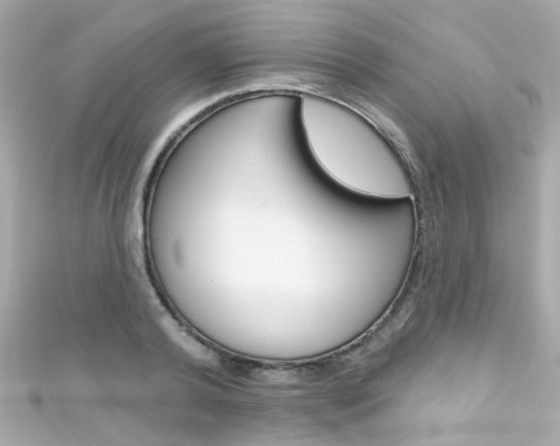 X0000111590792200907161152