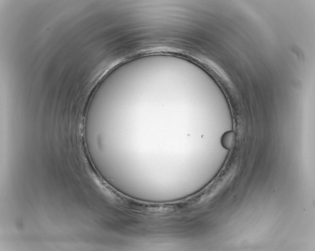 X0000111590793200907161152