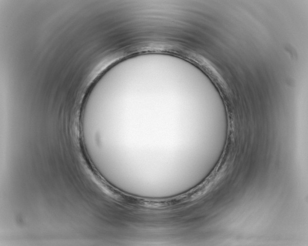 X0000111590794200907161152