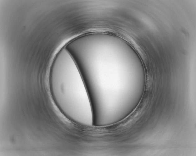 X0000111590795200907161152