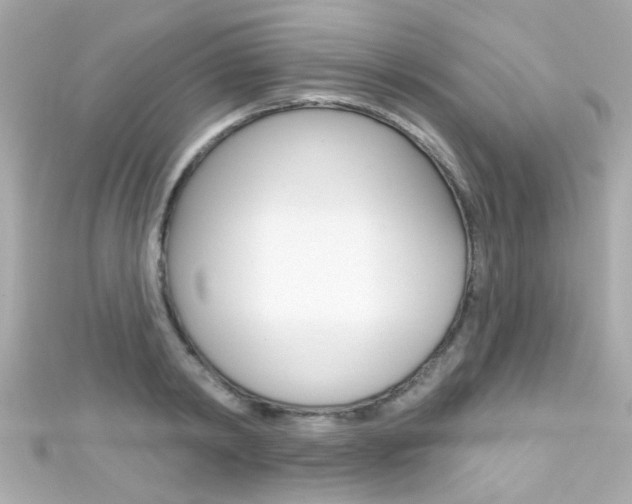 X0000111590798200907161152