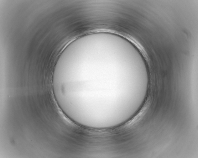 X0000111590801200907161152