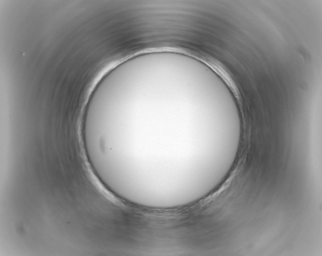 X0000111590805200907161152