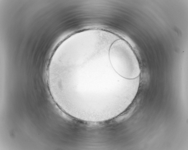 X0000111590807200907161152
