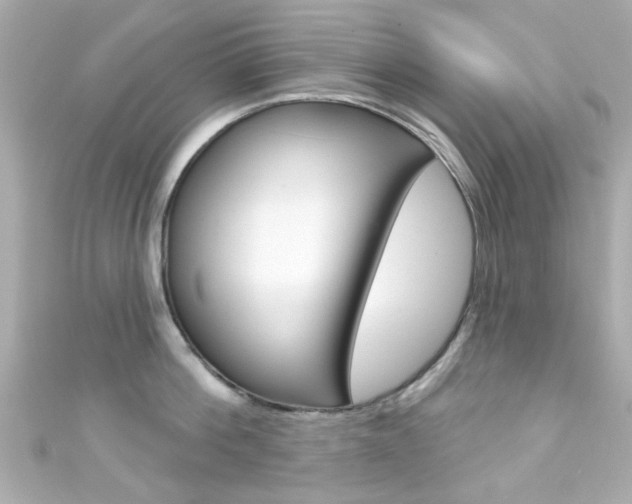 X0000111590812200907161152