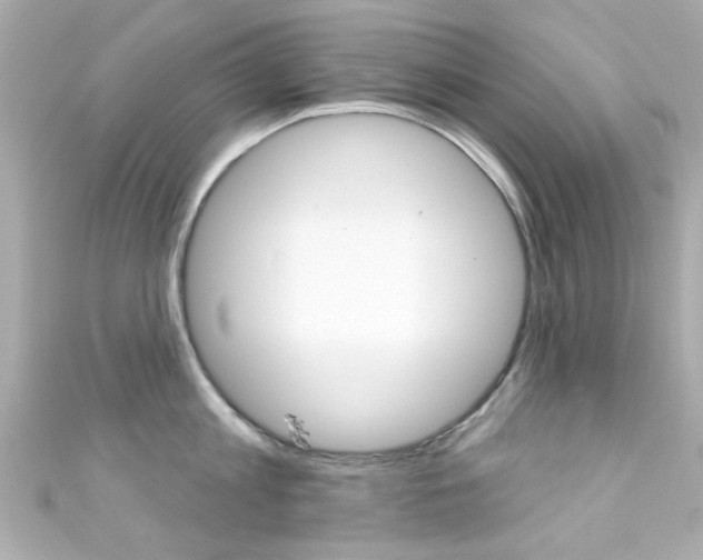 X0000111590813200907161152
