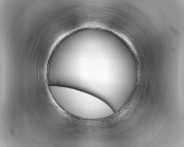 X0000111590815200907161152