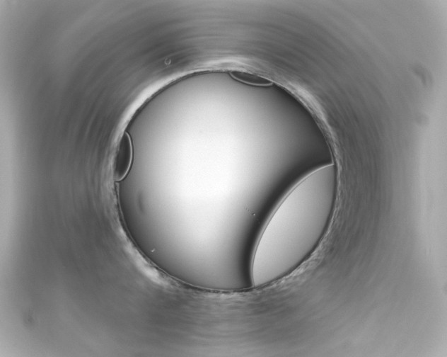 X0000111590816200907161152