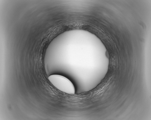 X0000111590818200907161151