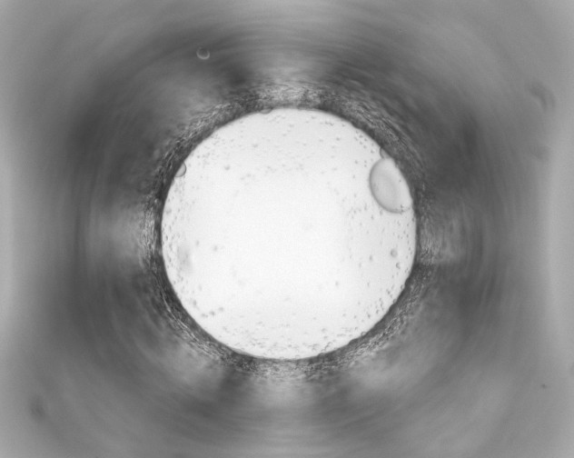 X0000111590820200907161151