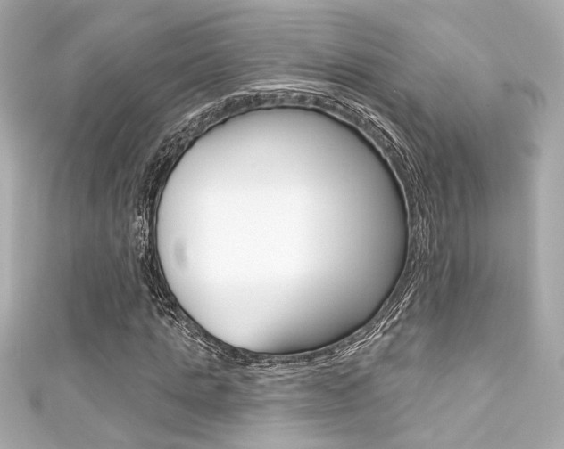 X0000111590821200907161151