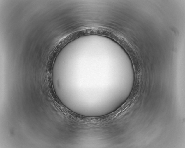 X0000111590822200907161151