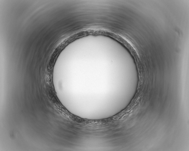 X0000111590823200907161151