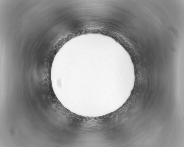 X0000111590824200907161151