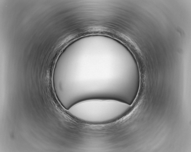 X0000111590825200907161151