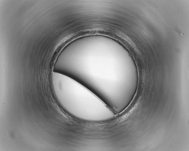 X0000111590826200907161151