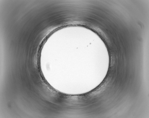 X0000111590828200907161151