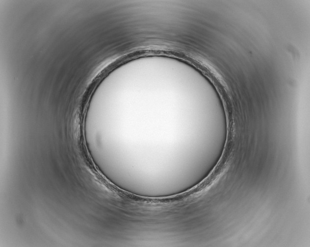 X0000111590829200907161151