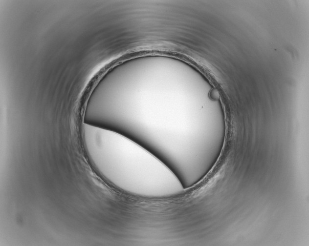 X0000111590830200907161151