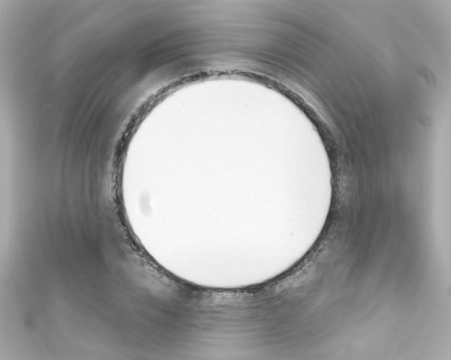 X0000111590832200907161151