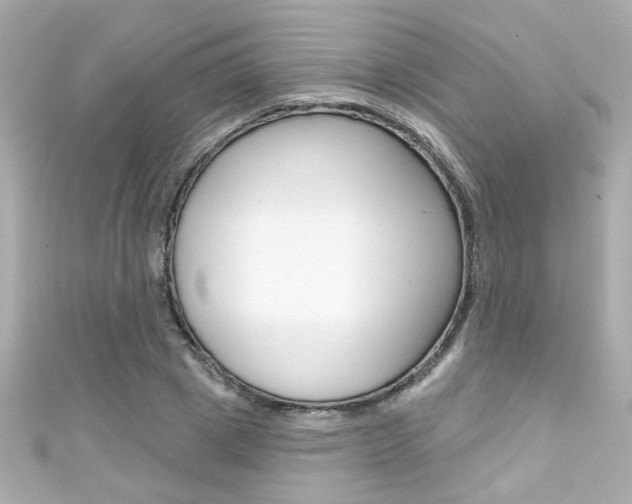 X0000111590833200907161151