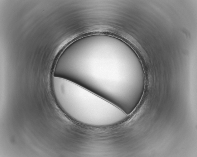 X0000111590834200907161151