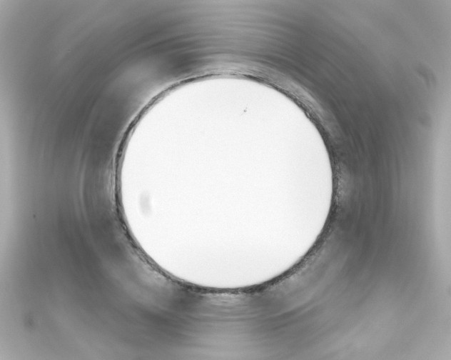 X0000111590836200907161151