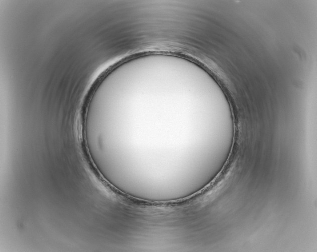 X0000111590838200907161151
