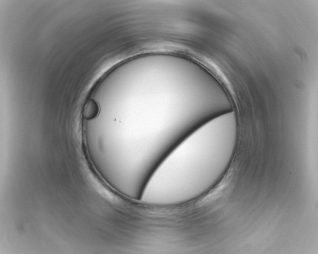 X0000111590843200907161151