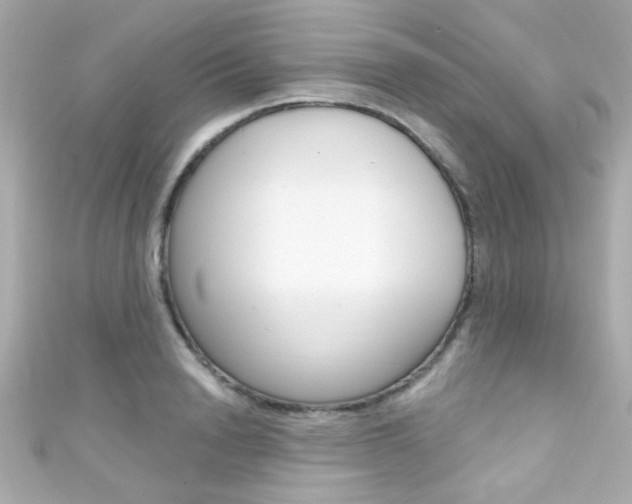 X0000111590846200907161151
