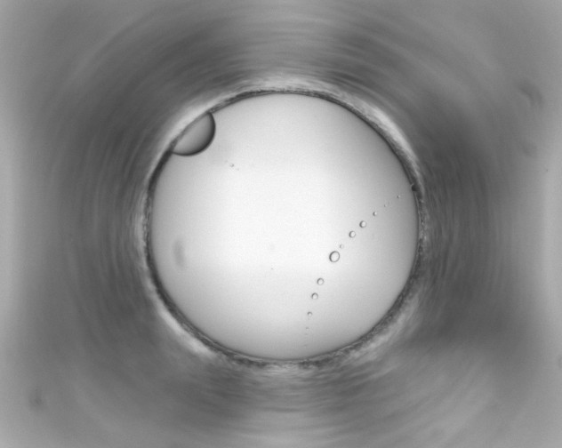 X0000111590847200907161151