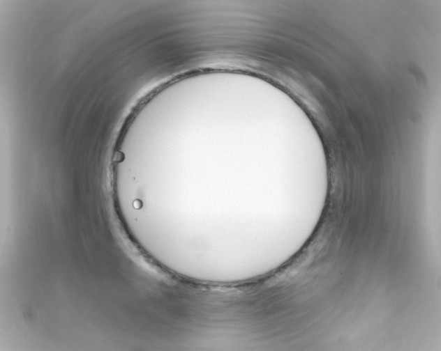 X0000111590848200907161151