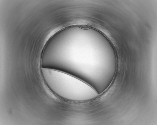 X0000111590850200907161151