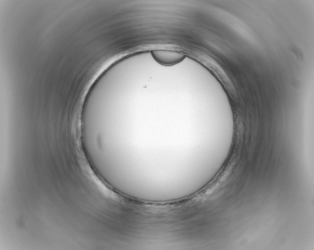 X0000111590852200907161151