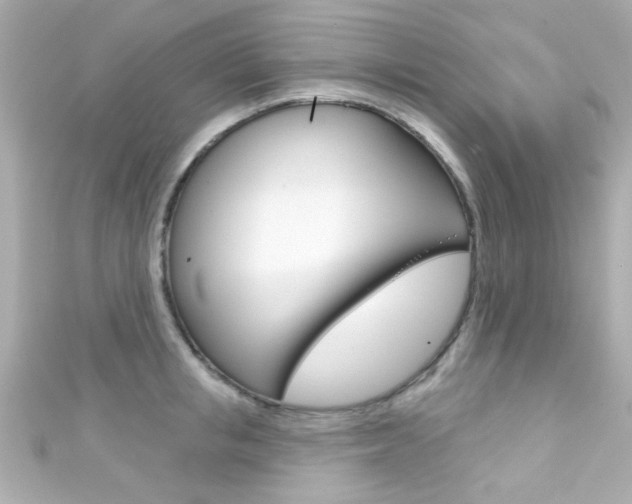 X0000111590853200907161151