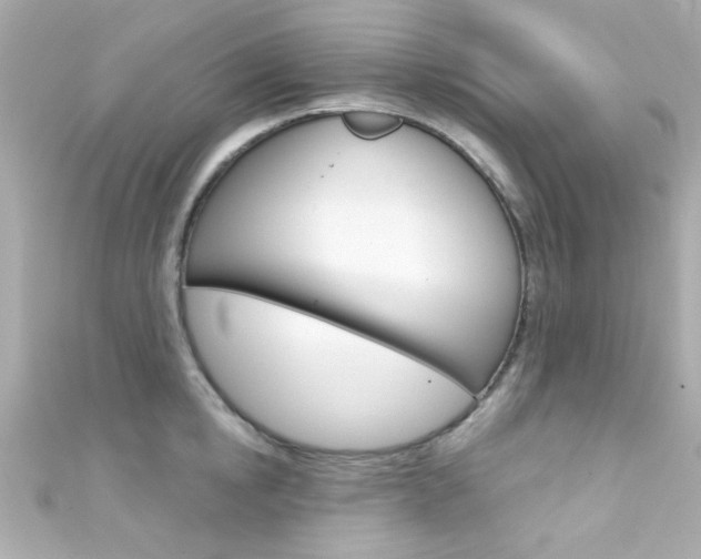 X0000111590854200907161152