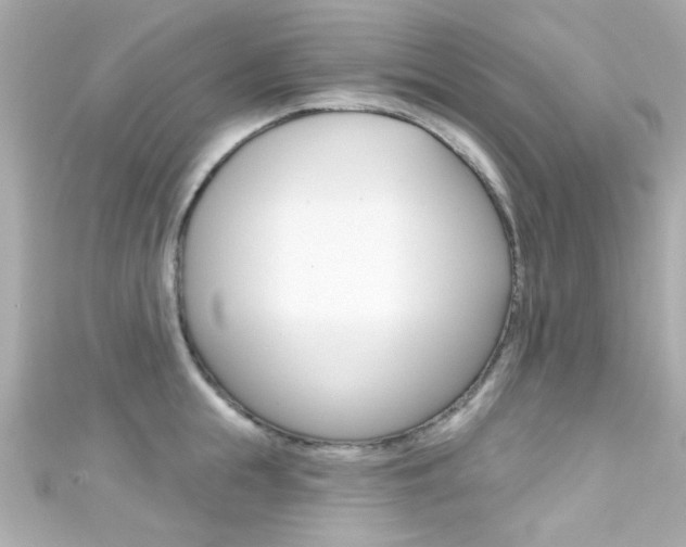 X0000111590855200907161152