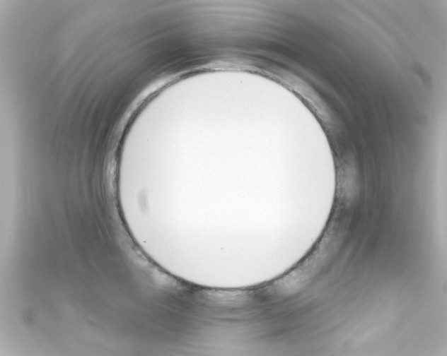 X0000111590856200907161152