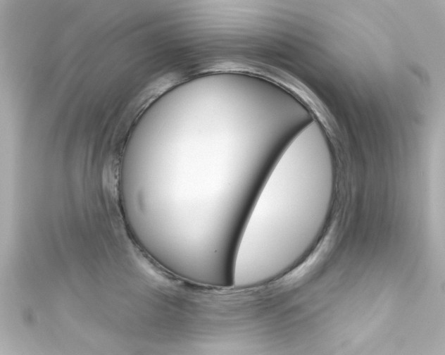 X0000111590857200907161152
