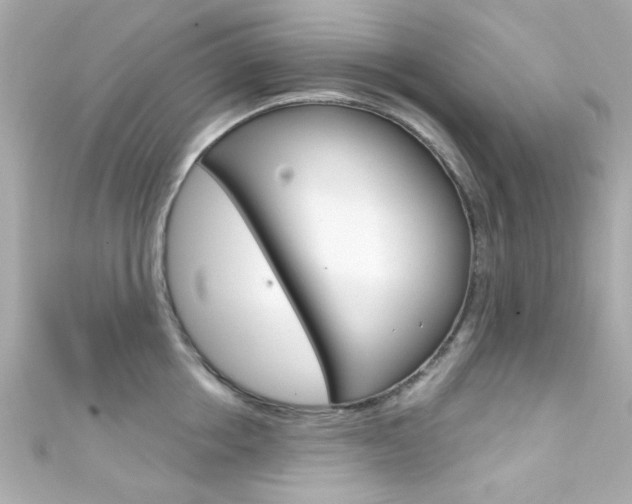 X0000111590858200907161152