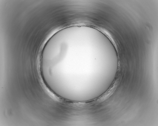 X0000111590859200907161152