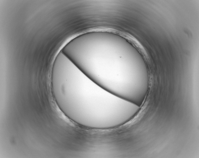 X0000111590860200907161152