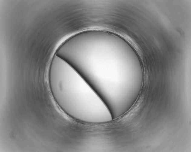 X0000111590862200907161152