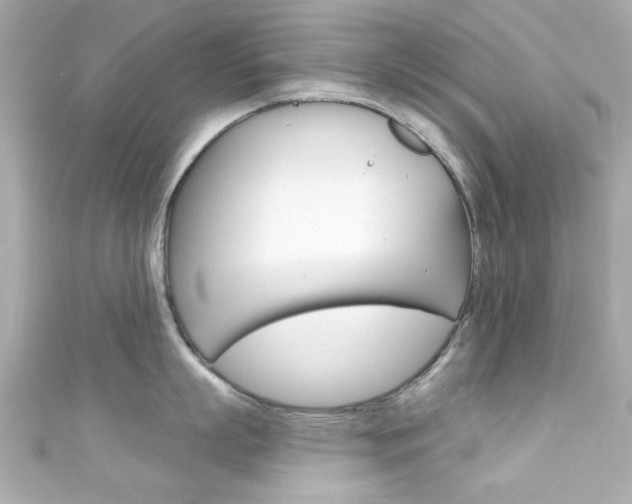 X0000111590863200907161152