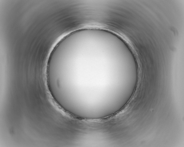 X0000111590864200907161152