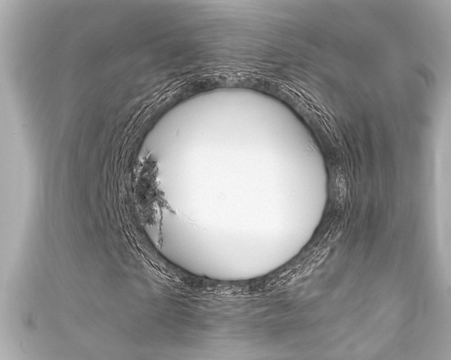 X0000111590865200907161151