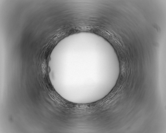 X0000111590866200907161151