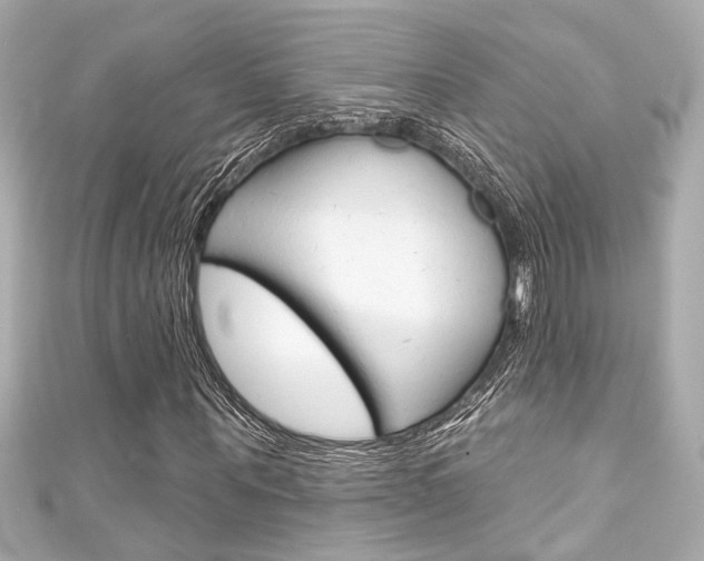 X0000111590867200907161151
