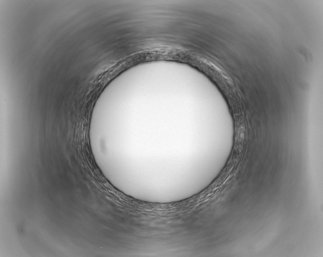 X0000111590869200907161151