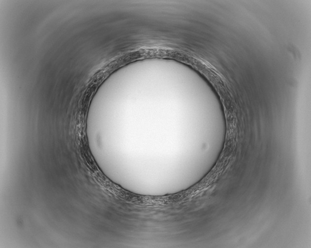 X0000111590870200907161151